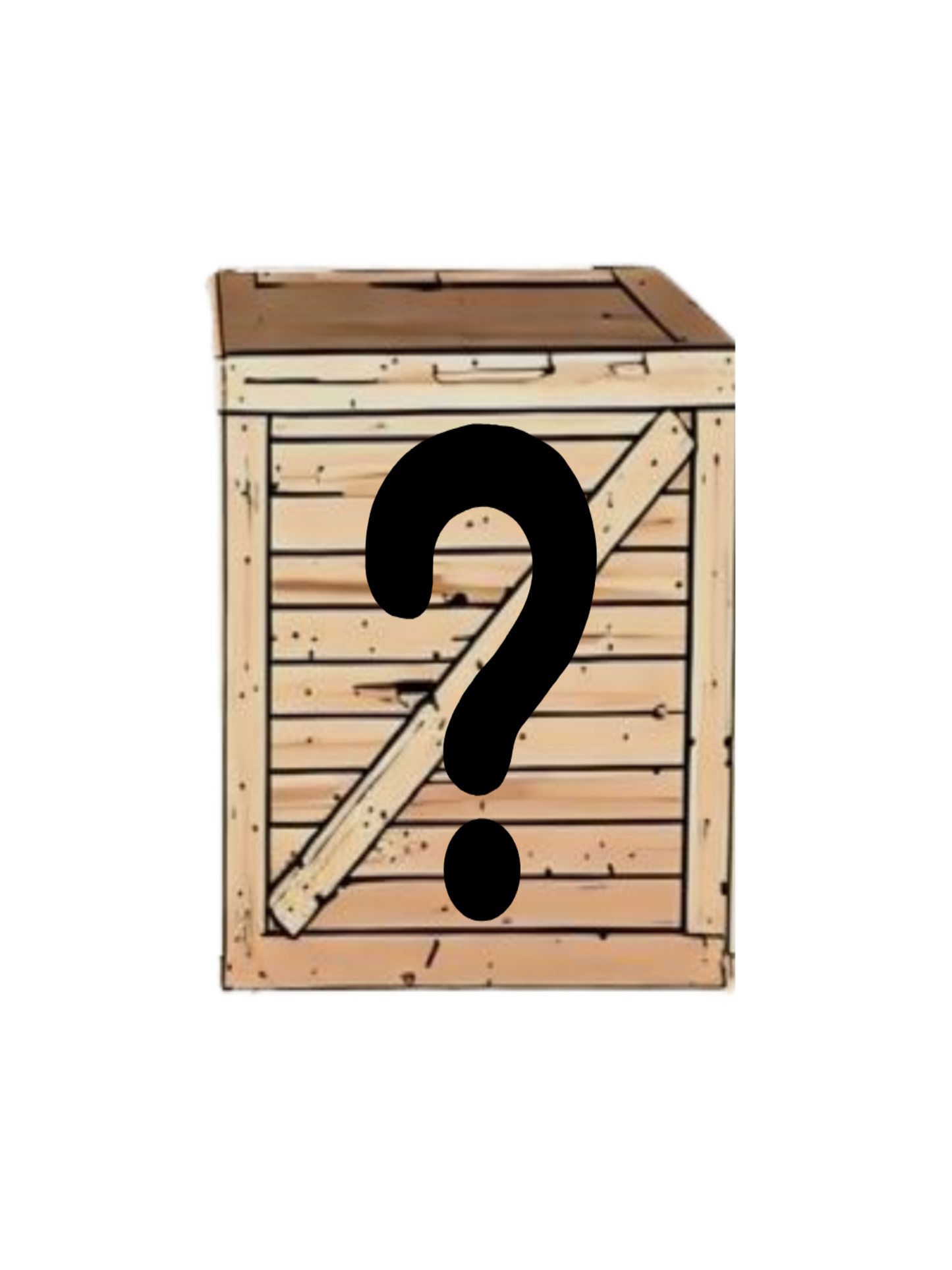 Mystery Surplus Box