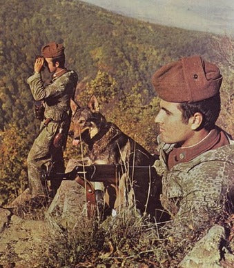 Bulgarian M51/72 Helmet w/ Frogskin Cover