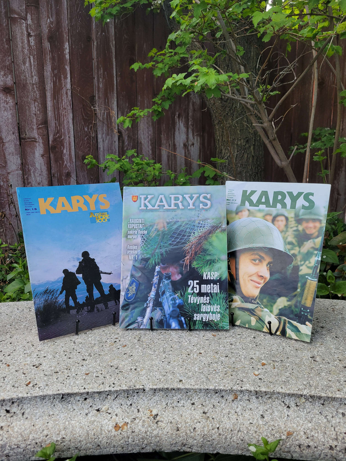 Book of the Month: April 2025 Karys Magazine