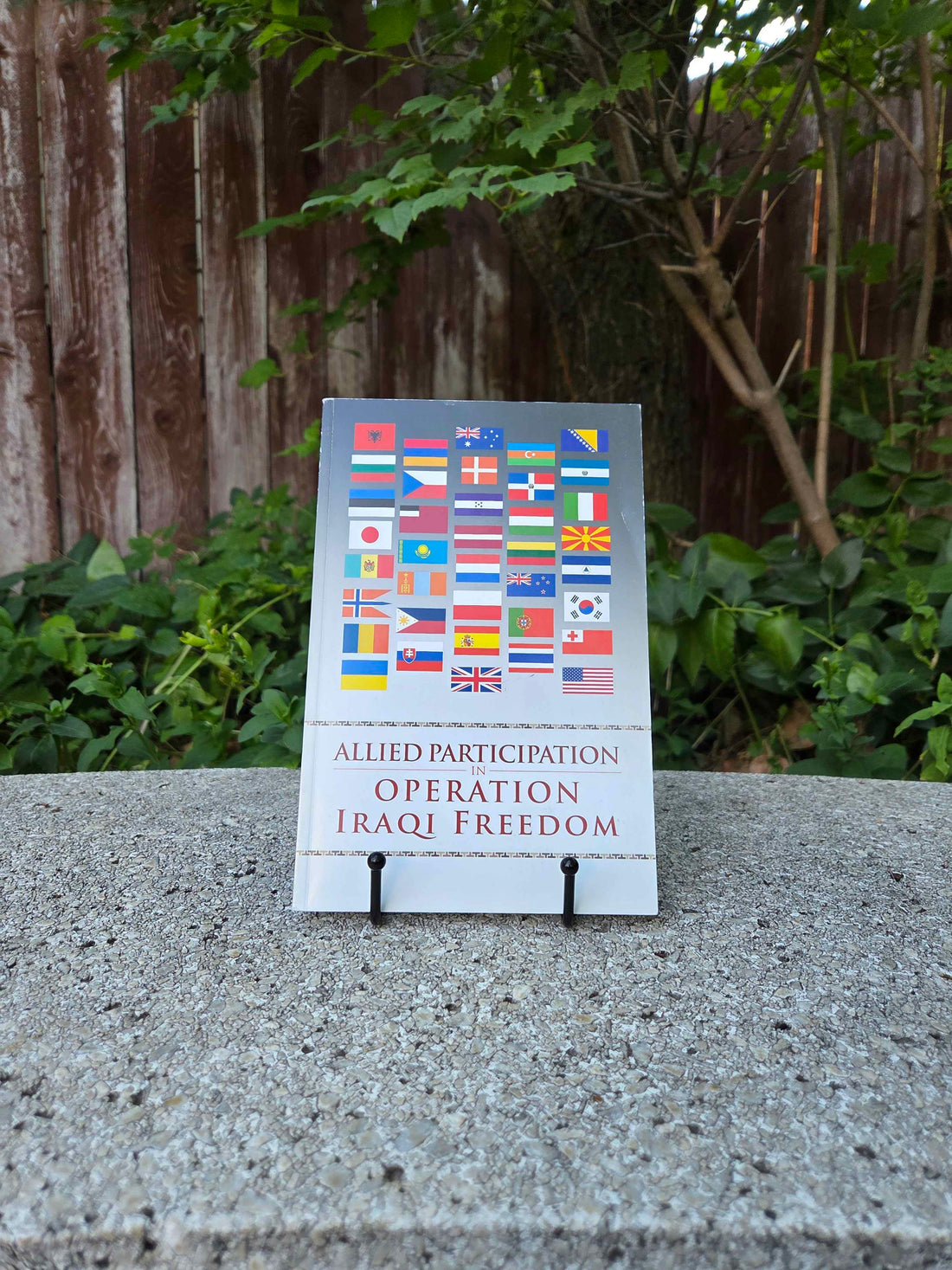 Book of the Month: July 2025 Allied Participation in Operation Iraqi Freedom