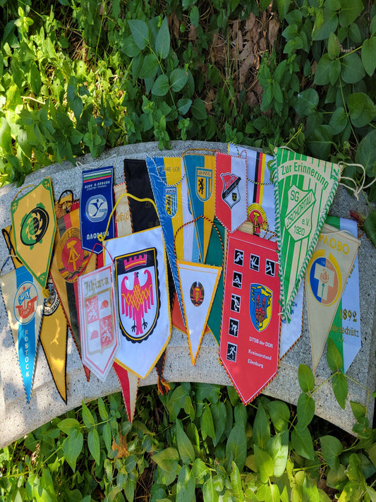 East German DDR Warsaw Pact Pennants Grab Bag