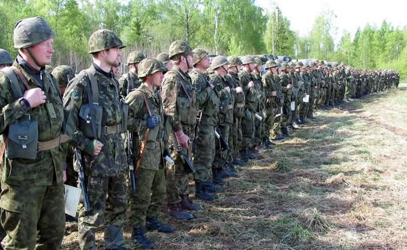Estonian SSh68 w/ TTsKO Helmet Cover